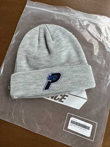 Palace arcteryx beanie - Gem
