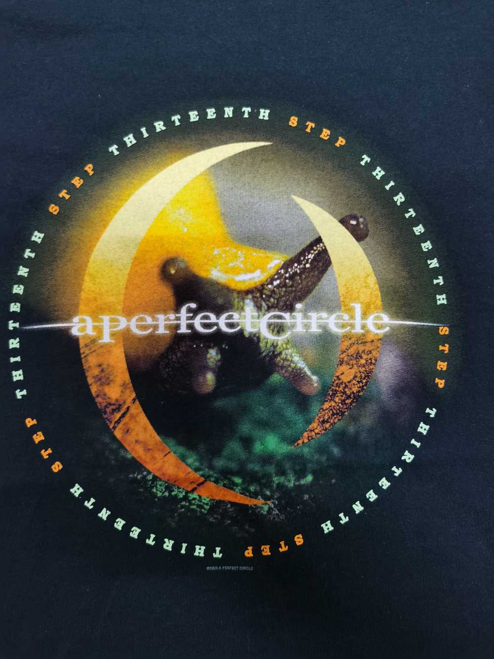 Vintage - 2003 A Perfect Circle - Thirteen Step T… - image 3