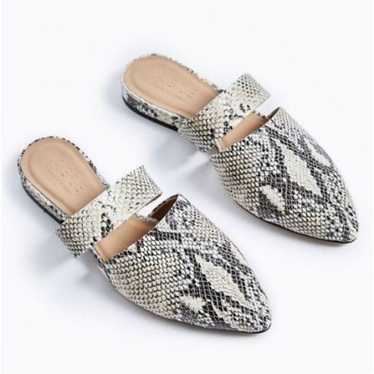 ABLE Joselyene Flats Mules snake print size 10M - image 1