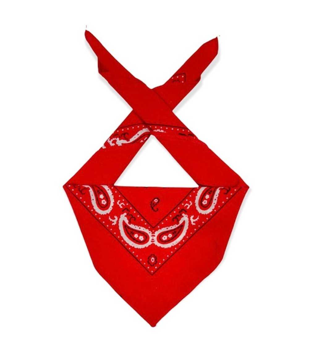 Paislee - Paislee bandana handkerchief neckerchie… - image 1