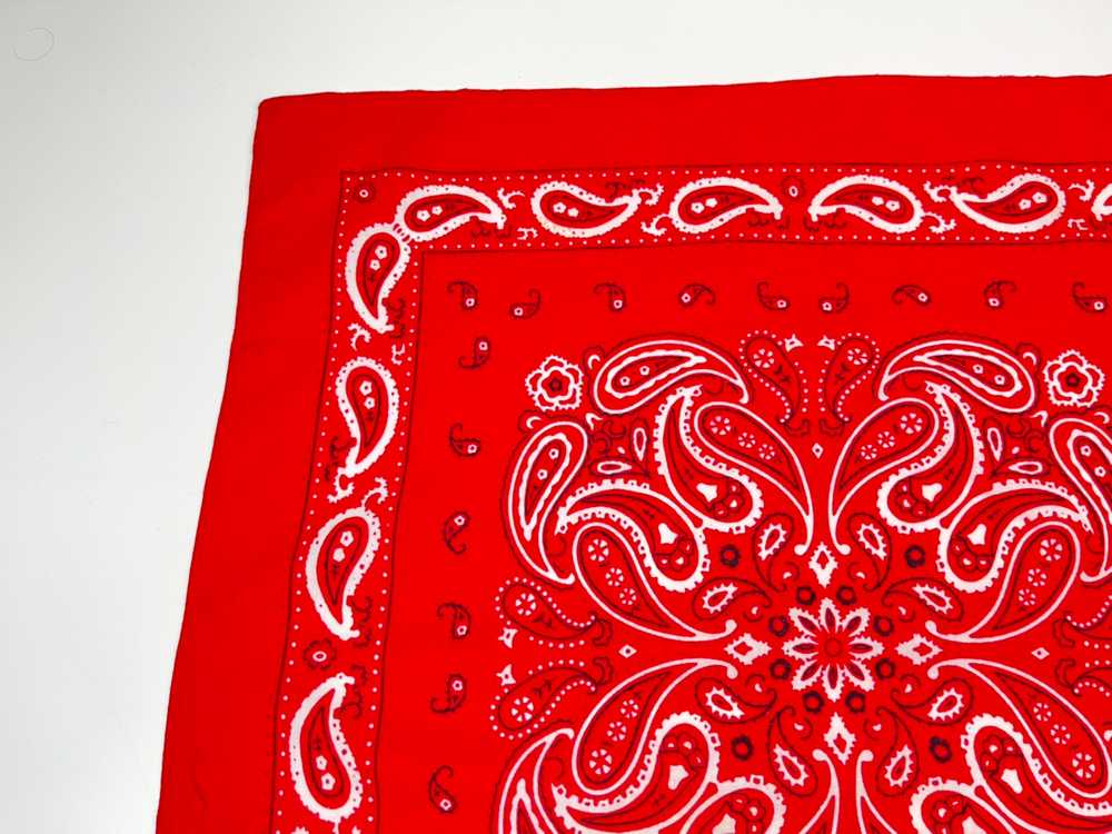 Paislee - Paislee bandana handkerchief neckerchie… - image 4
