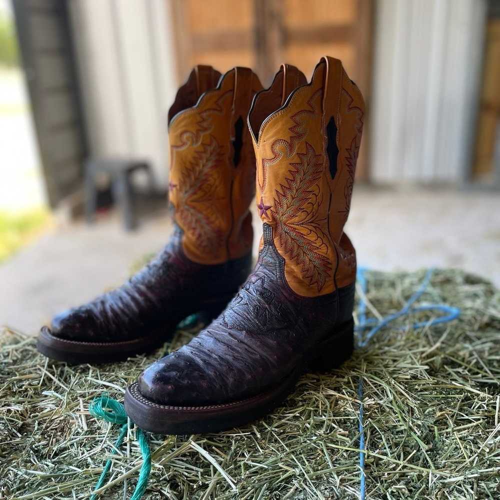 Lucchese Boots - image 2
