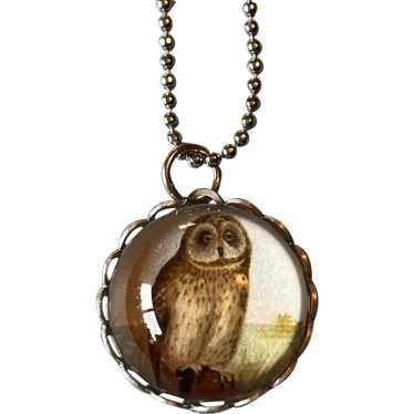 Short Eared Owl Artisan Silver-Plate Glass Round … - image 1