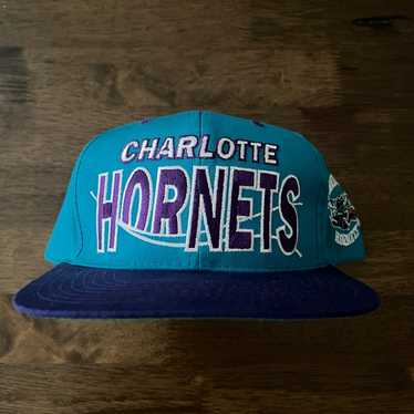 Charlotte Hornets - image 1