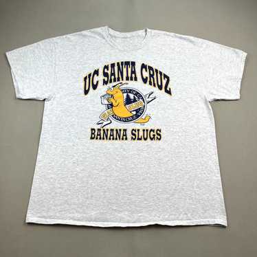 Vintage Vintage UC Santa Cruz T-Shirt Large Gray … - image 1