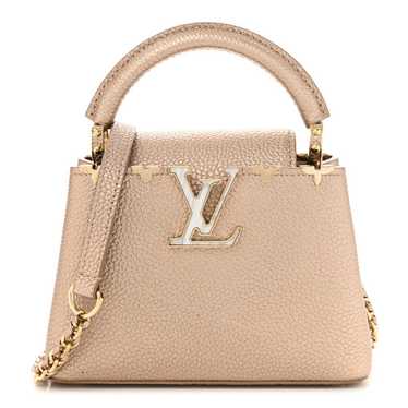 LOUIS VUITTON Metallic Taurillon Embellished Flow… - image 1