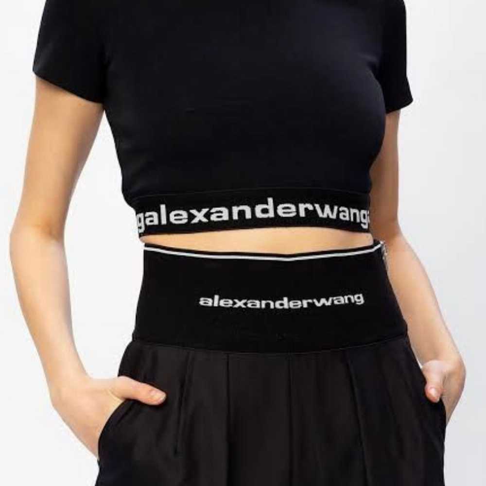 Authentic Alexander Wang Top - image 5
