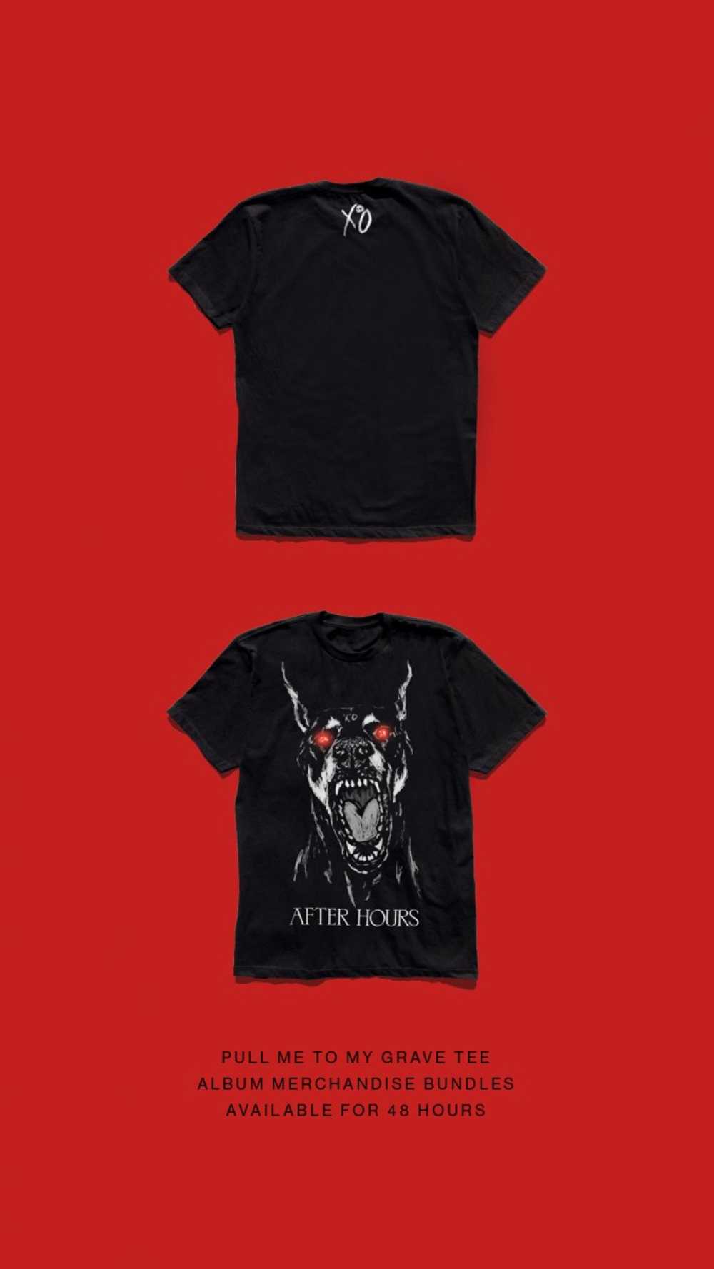 The Weeknd - Pull Me To The Grave T-Shirt - image 1