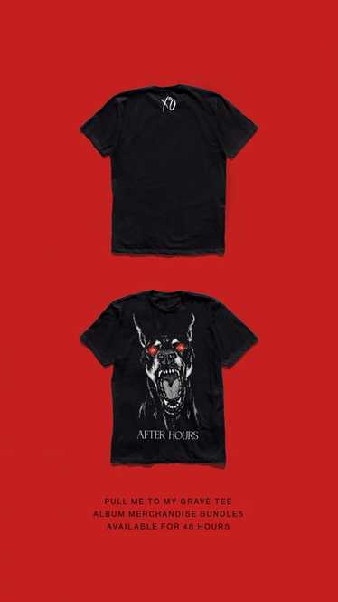 The Weeknd - Pull Me To The Grave T-Shirt