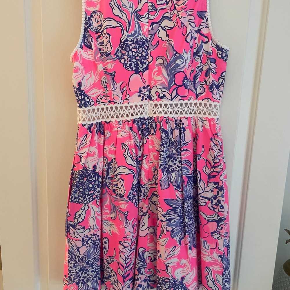 Lilly Pulitzer Dress - image 3