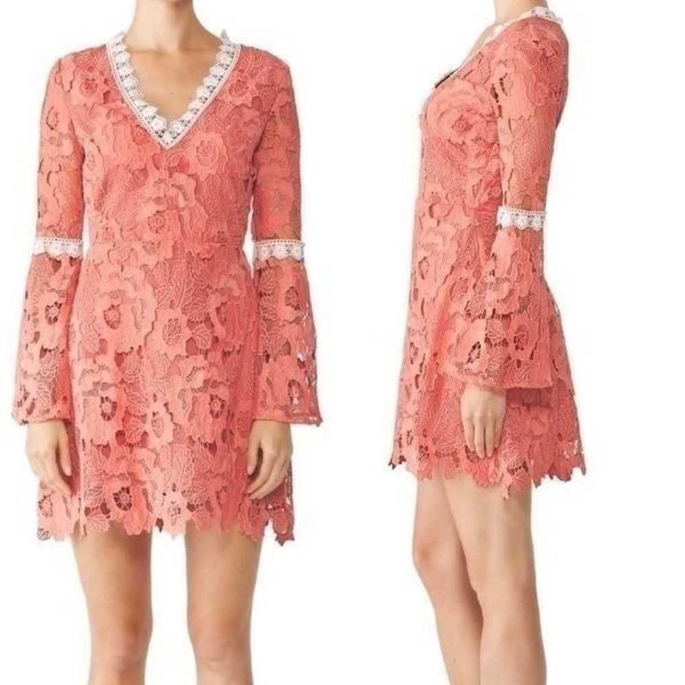 Alexia Admor Pink Contrast Lace Dress - image 1
