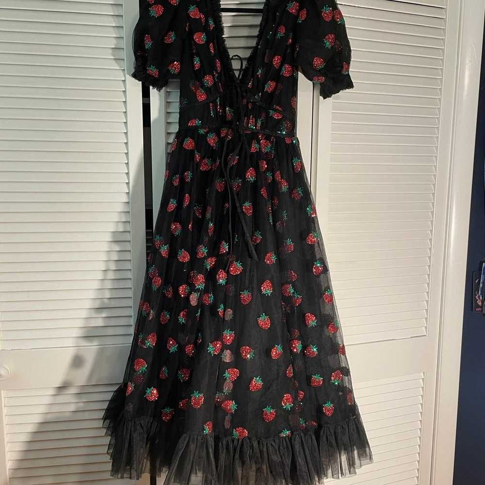 NWOT Lirika Matoshi Strawberry Dress - image 3