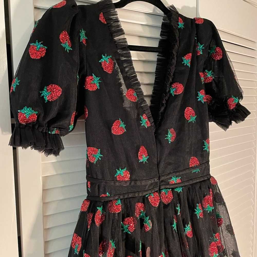 NWOT Lirika Matoshi Strawberry Dress - image 8