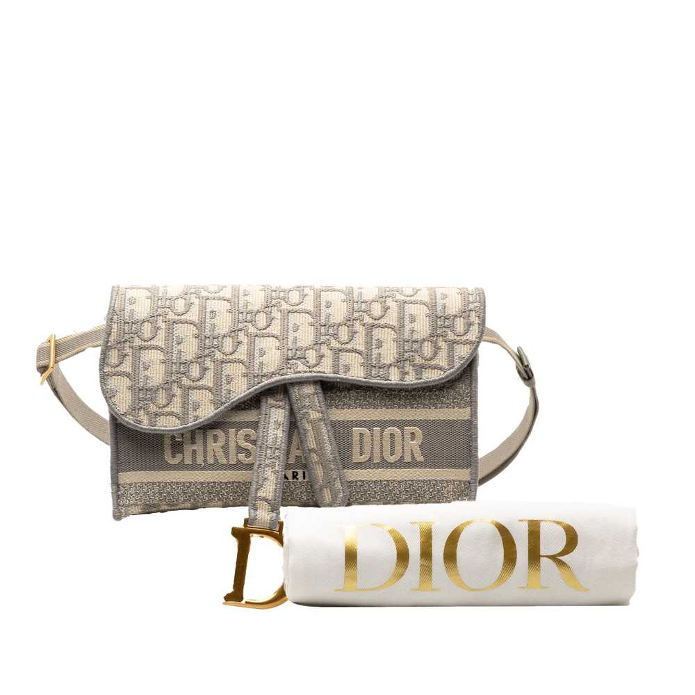 Gray Dior Oblique Saddle Slim Belt Pouch - image 9