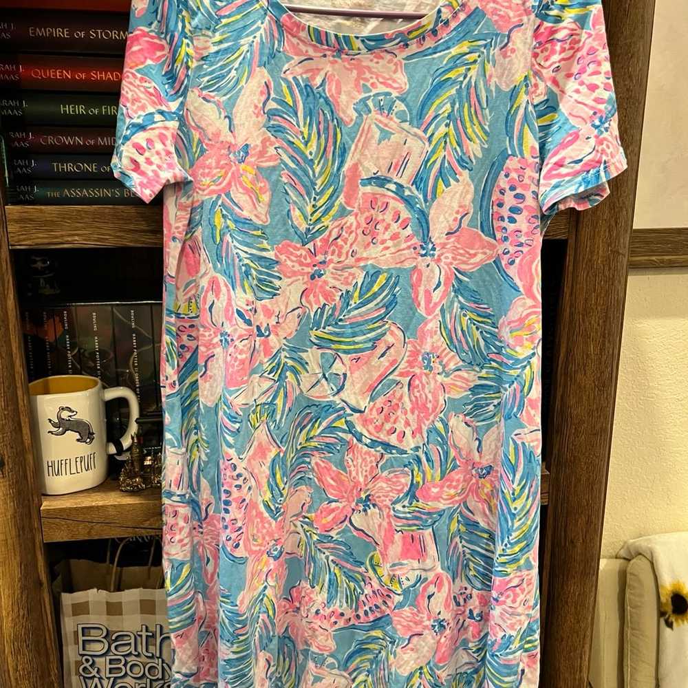 Lilly Pulitzer Dress - image 1