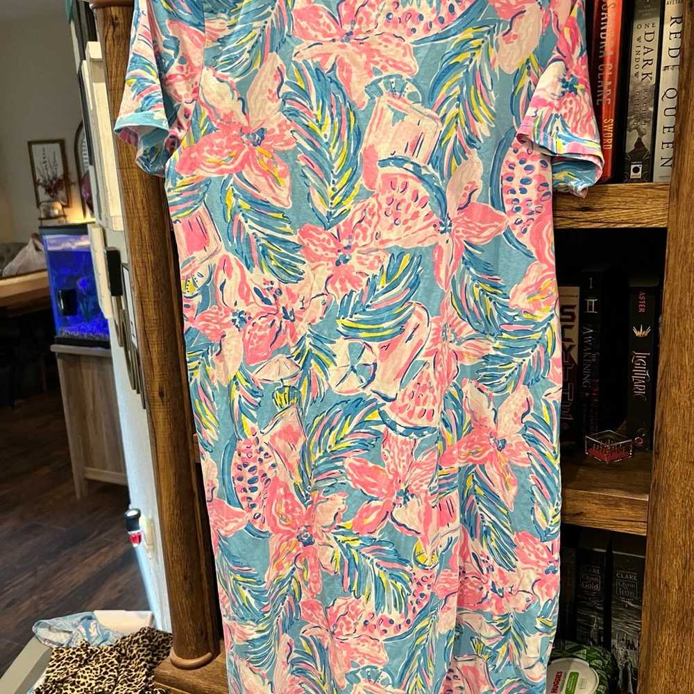 Lilly Pulitzer Dress - image 2