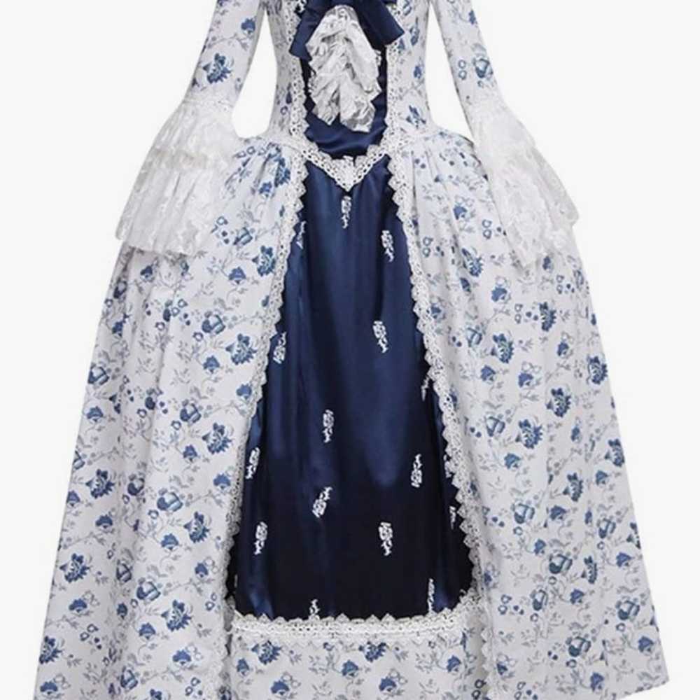 1791's lady Women's Victorian Rococo Dress Inspra… - image 1