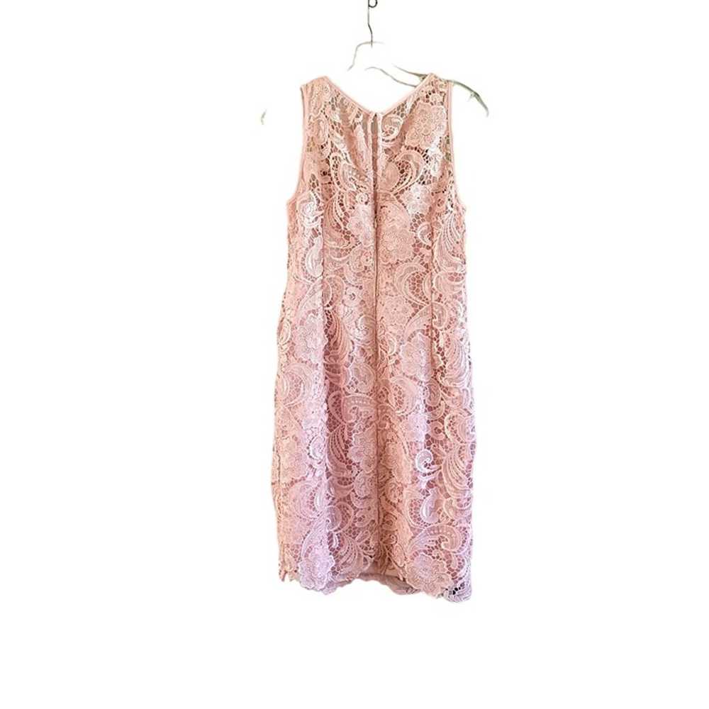 Adrianna Papell Pink Lace Sheath Dress - image 3