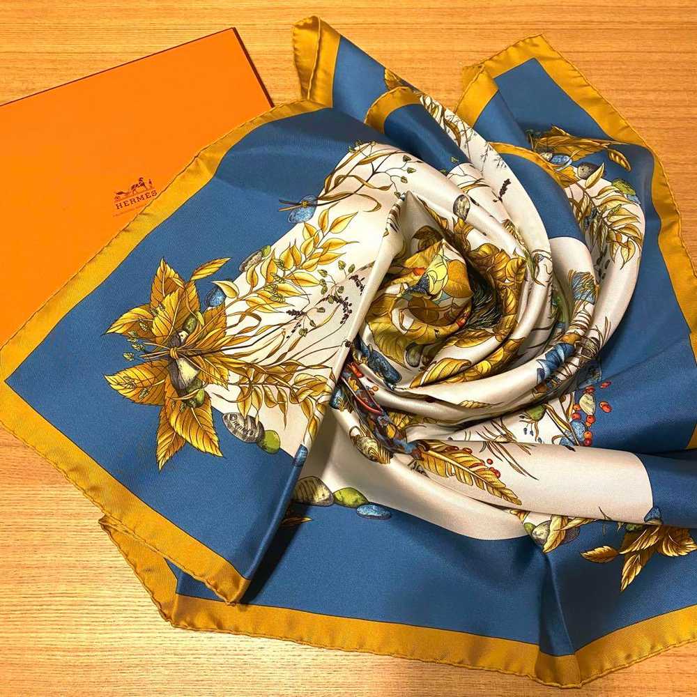 [Used Scarf] Hermes Carre 90 Pythagore Silk - image 3