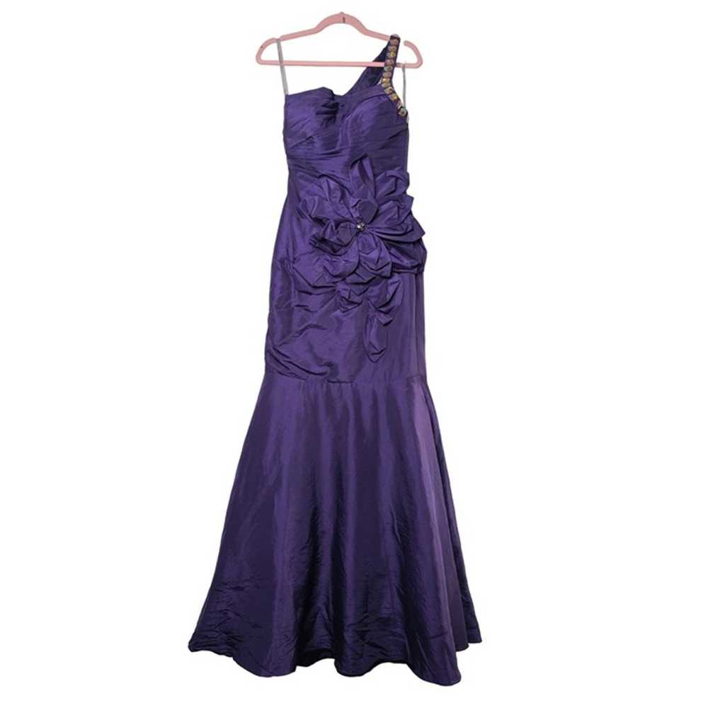 Cinderella Vintage Floor Length Evening Dress Siz… - image 1