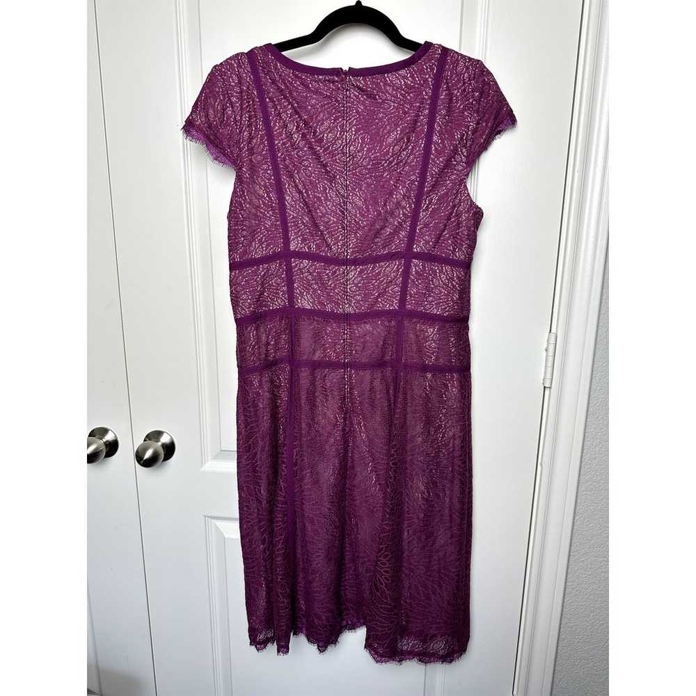 Adrianna Papell 12 Purple Lace Cap Sleeve Dress - image 4