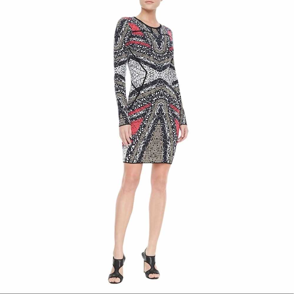 Diane von Furstenberg Kenya Long Sleeve Dress Siz… - image 3