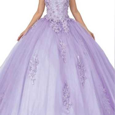 " Stunning Quinceañera Dress " - image 1