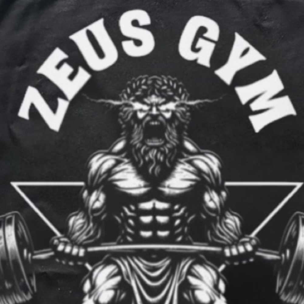 Zeus Gym Shirt, Workout Shirt, Gym Shirt, Pump Co… - image 5