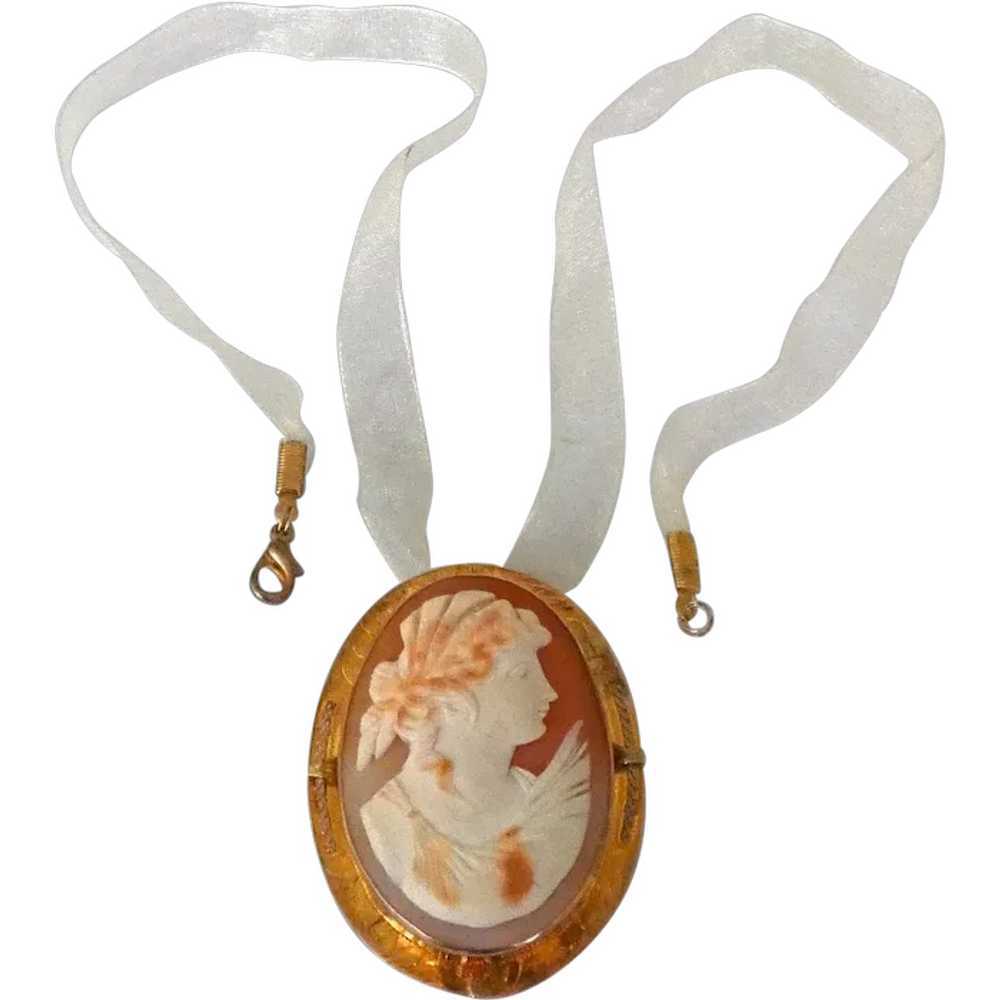 10k and Cameo Art Nouveau Necklace / Brooch - image 1