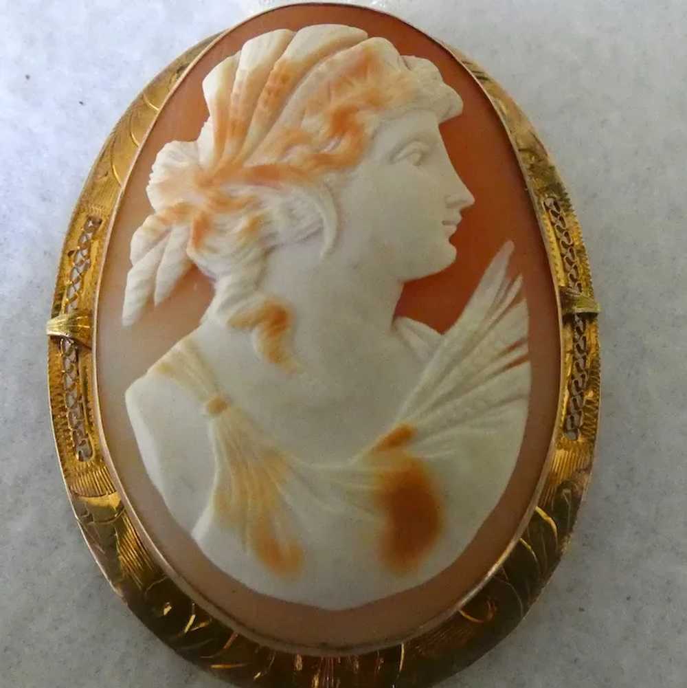 10k and Cameo Art Nouveau Necklace / Brooch - image 9