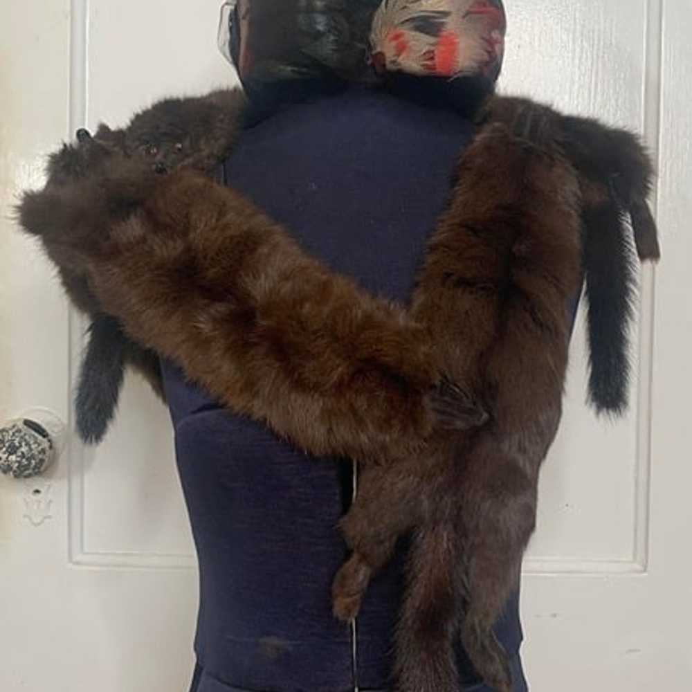 Vintage brown 5 pelt whole mink stole scarf & Vin… - image 1