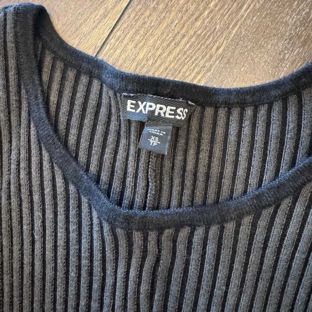 Express Green and Black Fit And Flare Sweater Dre… - image 3