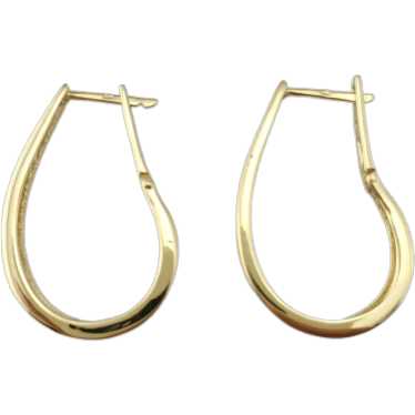 14K Yellow Gold Long Oval Hoop Earrings #17313