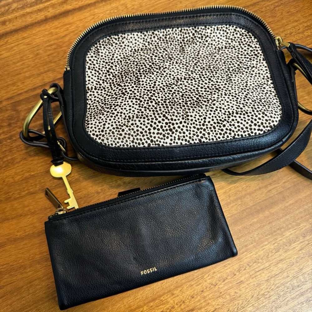Fossil Black Crossbody Bag Animal Print  Leather … - image 1