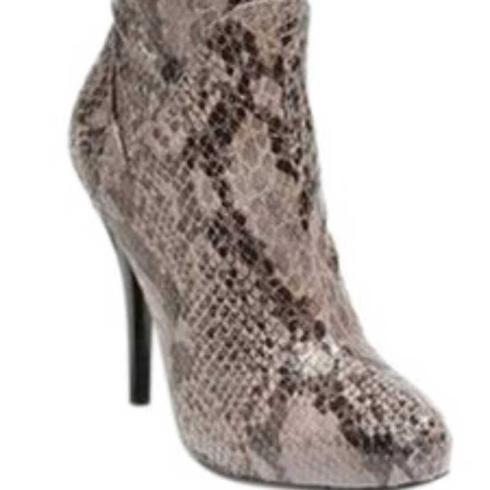 Classiques Entier Sylvia Snake Print Tall Boots S… - image 3