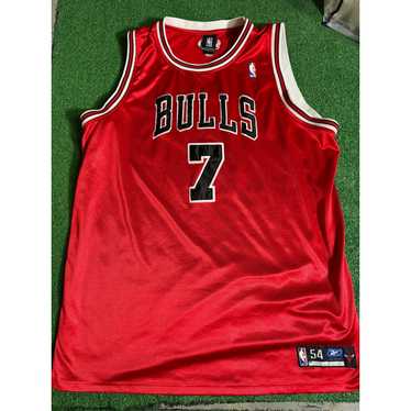 Reebok VTG Chicago Bulls Jersey Gordan Sz 54 XXL … - image 1