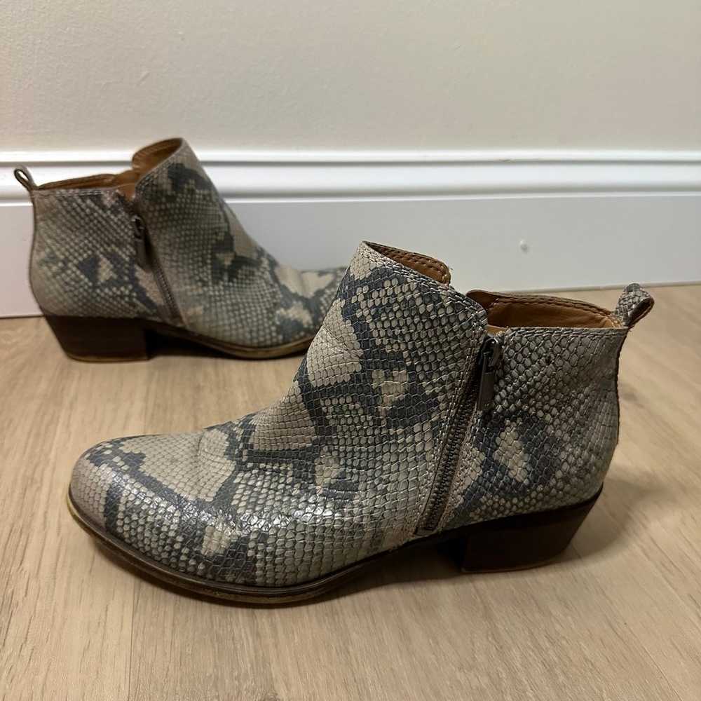 Snakeskin ankle booties - Lucky Brand - image 7