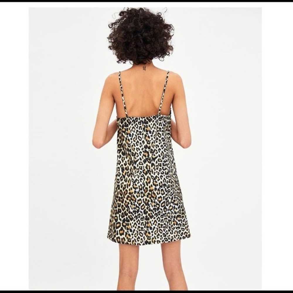 Zara Leopard Print Sleeveless Body-con Mini Dress… - image 2