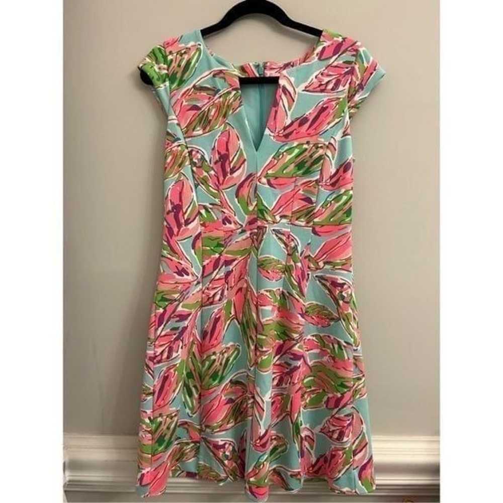 EUC Lilly Pulitzer Brielle in the vias Dress size… - image 4
