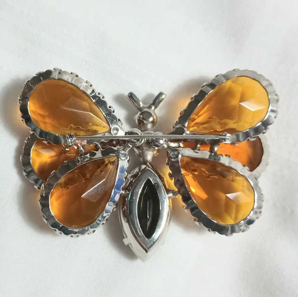 Schreiner large triple wing butterfly brooch ambe… - image 3