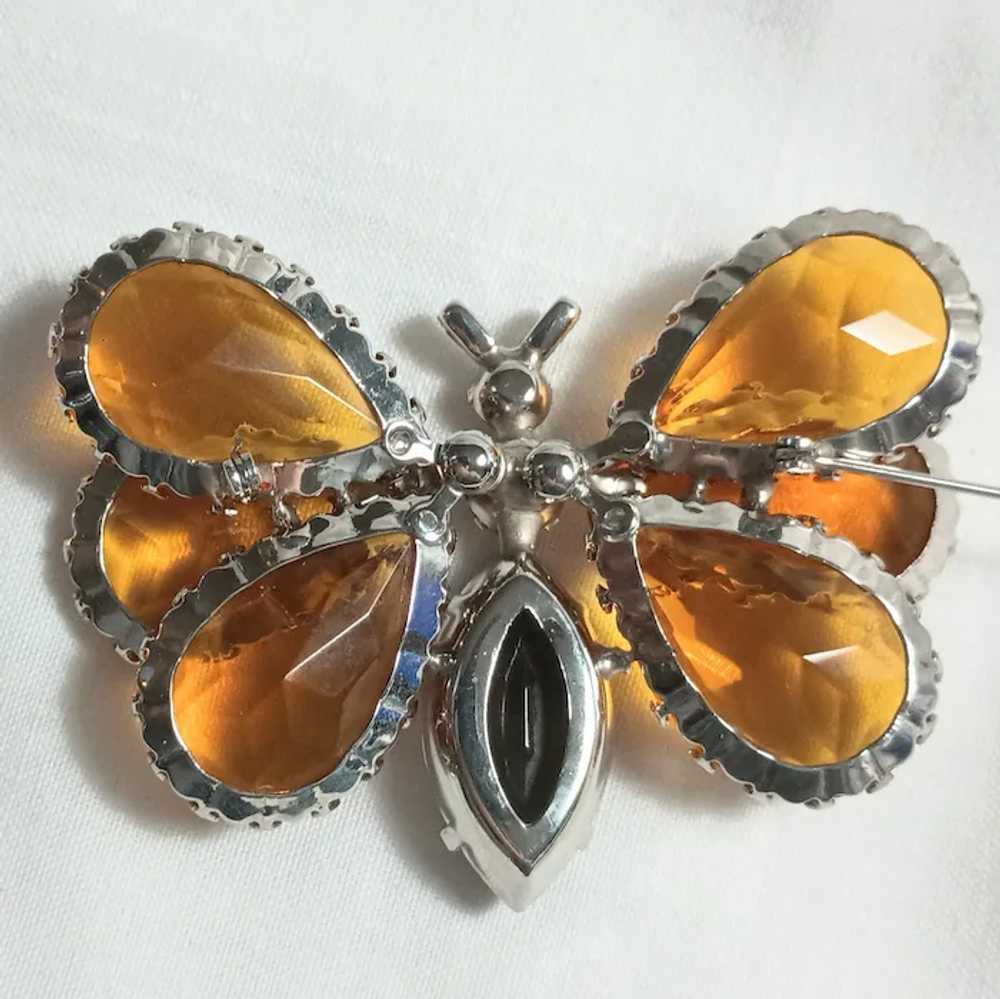 Schreiner large triple wing butterfly brooch ambe… - image 4