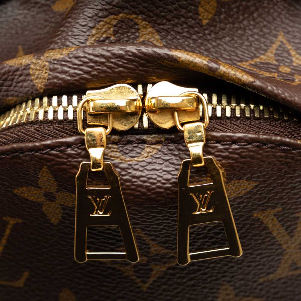 Brown Louis Vuitton Monogram Reverse Palm Springs… - image 8