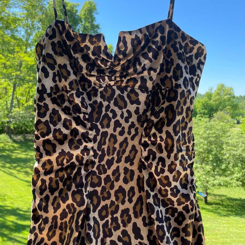 Cache leopard print dress - image 7