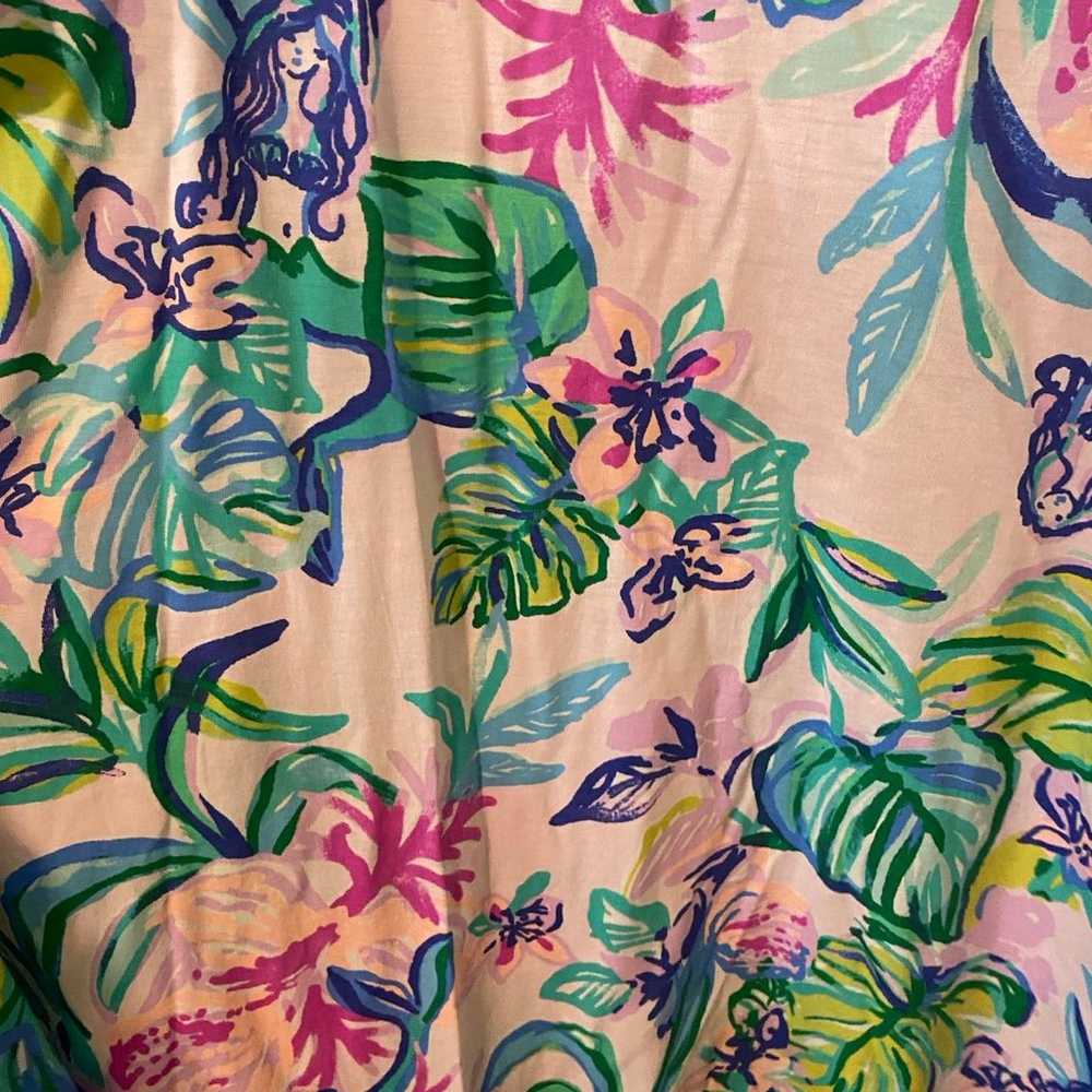 Lilly Pulitzer Dress XL - image 5