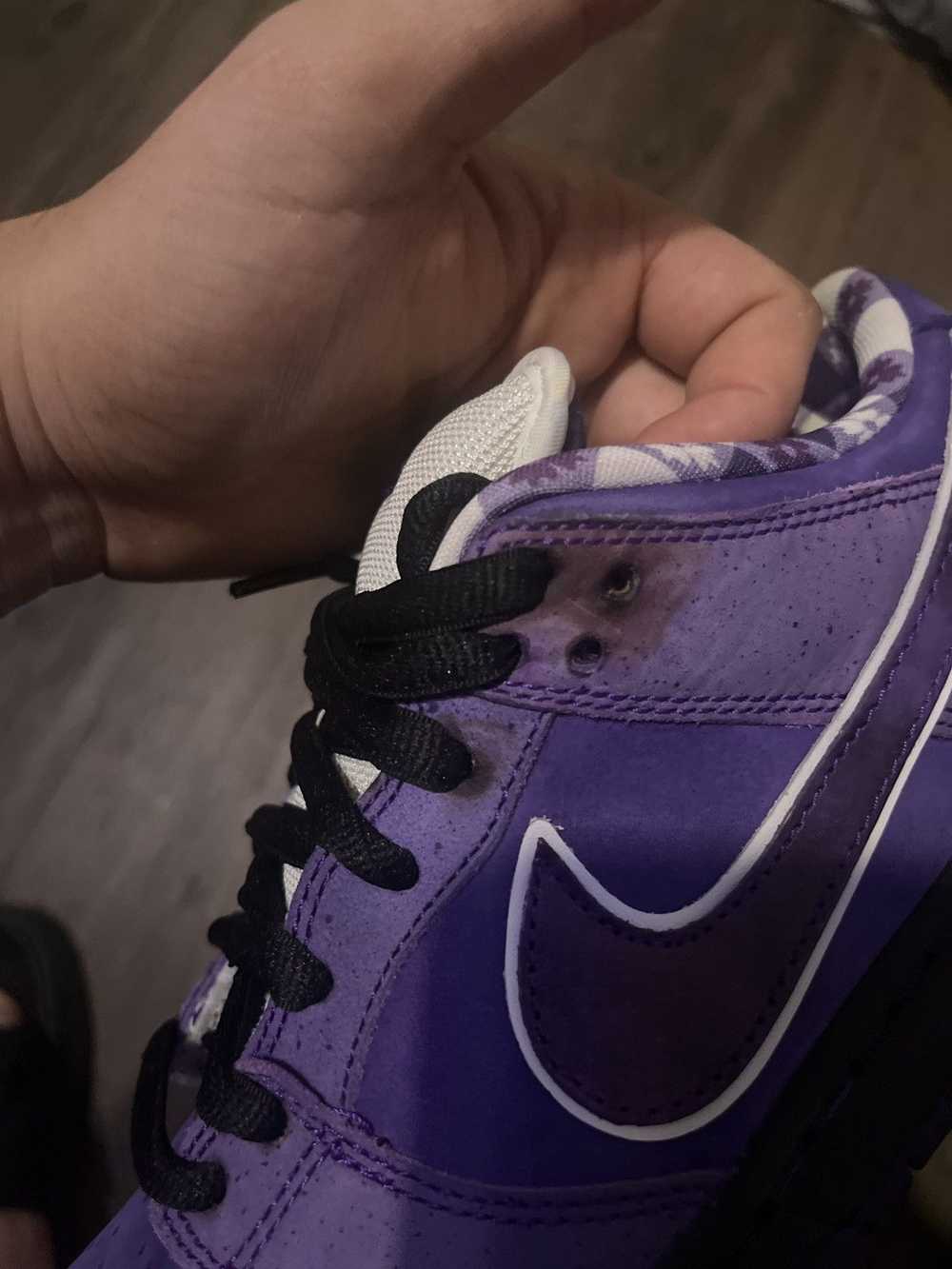 Nike Nike sb purple lobsters - image 7