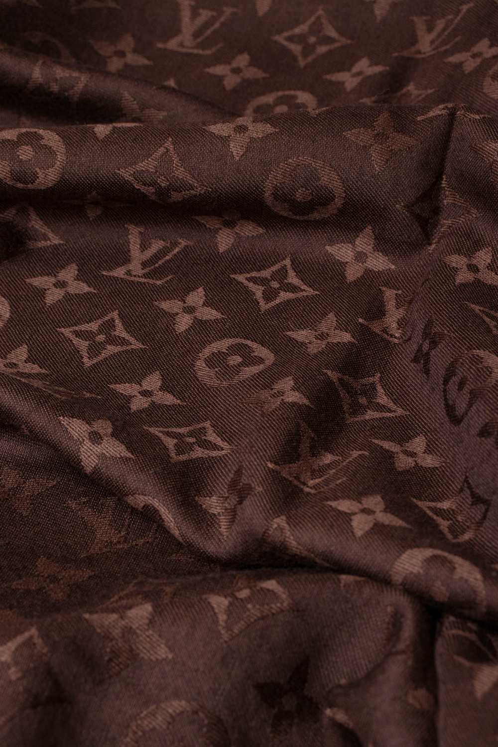 Louis Vuitton Brown Monogram Shawl - image 4