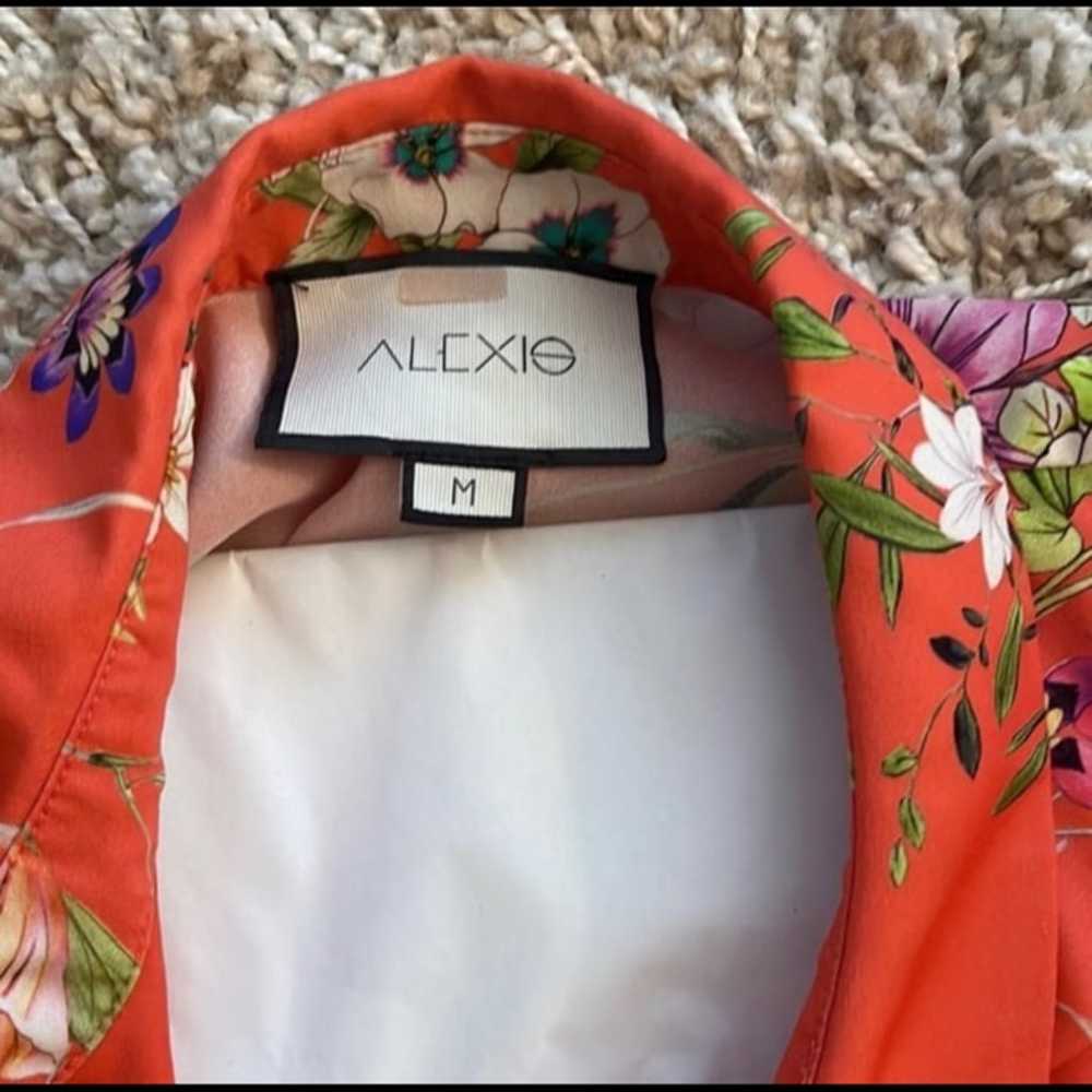 Alexis Mini Dress - image 5