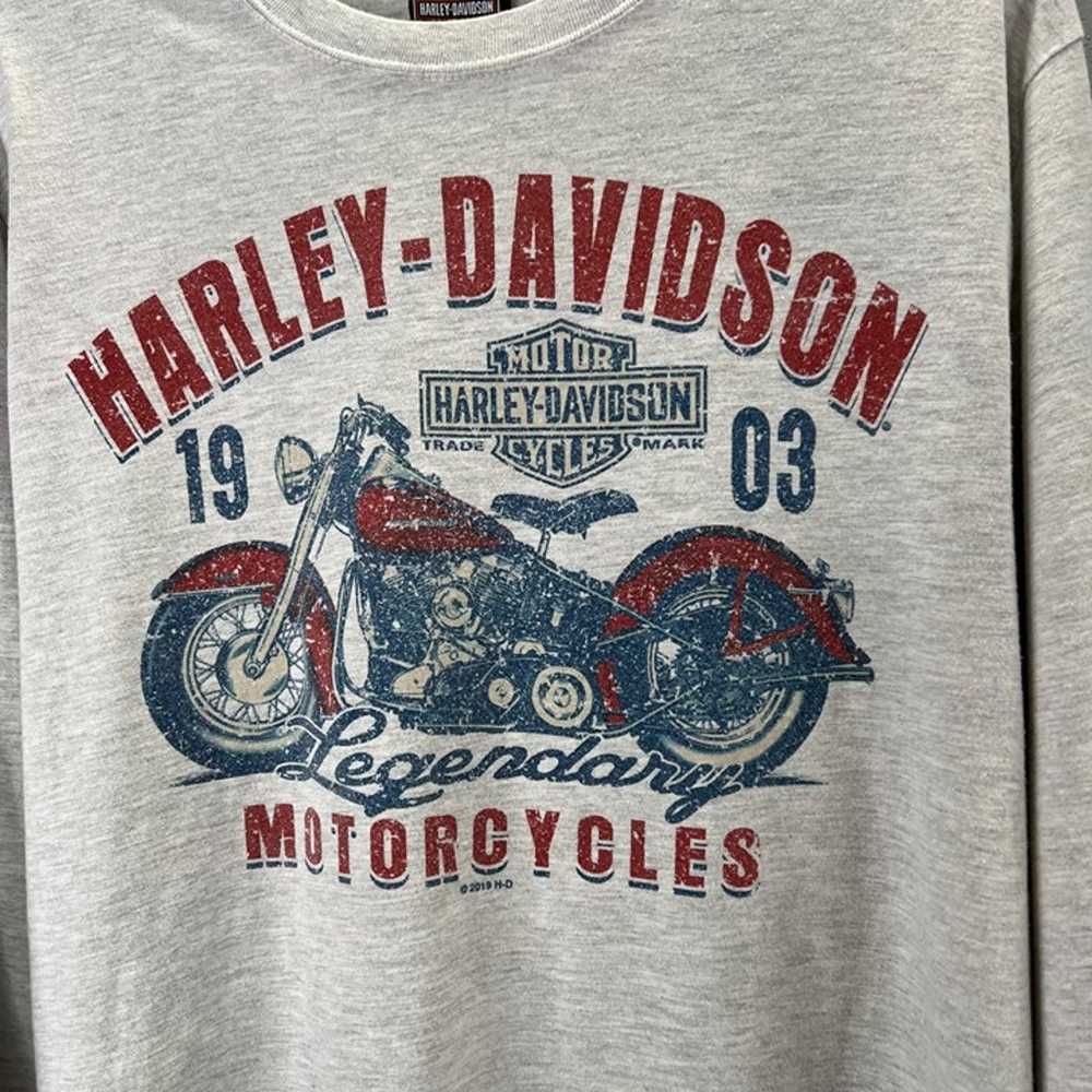 Harley Davidson T Shirt L Rockford IL Baseball Pi… - image 4