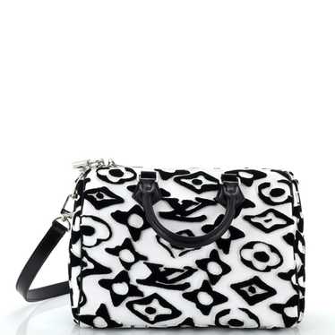Louis Vuitton Velvet handbag