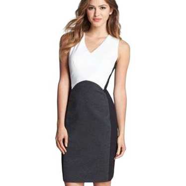Vince Camuto Stretch Colorblock Fitted V Neck Slee